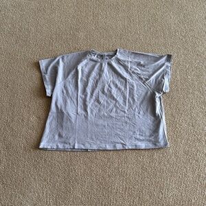 Skims Silver Vintage Cropped Raglan Short Sleeve T-Shirt, Size 4X NWT